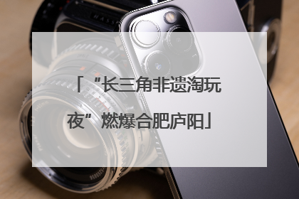 “长三角非遗淘玩夜”燃爆合肥庐阳